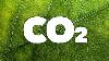 Using Co2 In A Sealed Grow Room Opticlimate